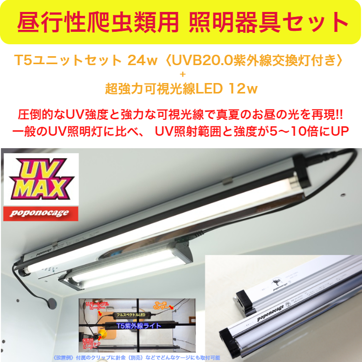 ◉〈昼行性爬虫類用照明器具セット〉（強度MAX紫外線ライト+強力可視