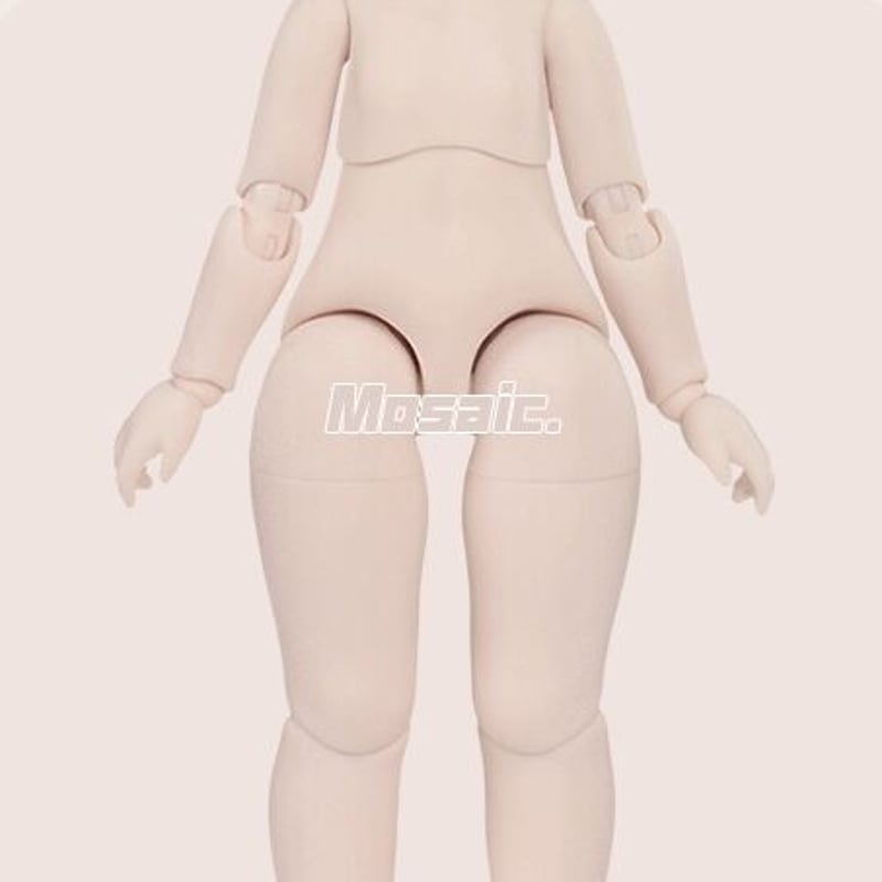 予約販売：2024年9月中 お届け予定】※当店限定選び特典付き※TinyFox