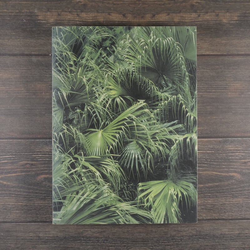 東松照明展 沖縄マンダラ TOMATSU SHOME OKINAWAN MANDALA 沖縄県