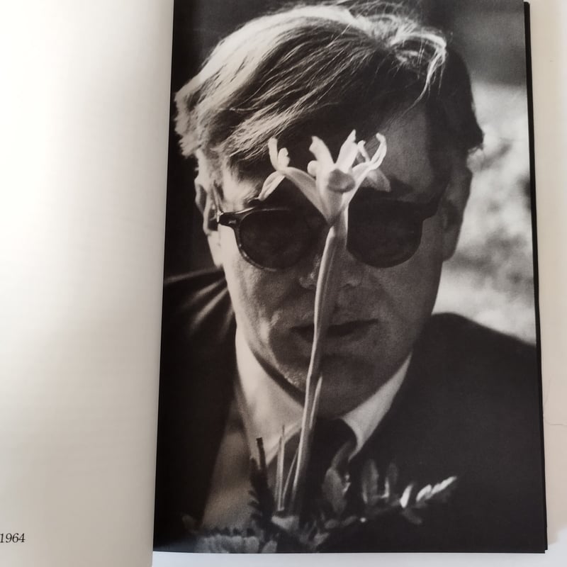 OUT OF THE SIXTIES』DENNIS HOPPER デニス・ホッパー写真集美品