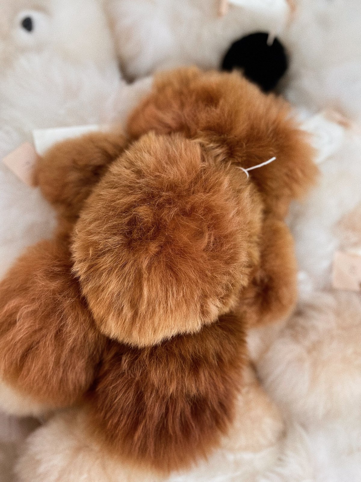 033 ］ アルパカテディベア / チョコレート / 送料無料 | Melty hug