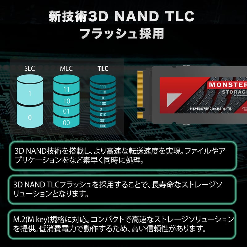 Monster Storage(モンスターストレージ) ヒートシンク搭載 内蔵SSD NVMe