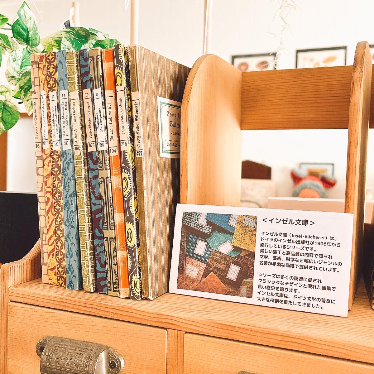 ドイツ インゼル文庫 5冊セット | こぐま舎