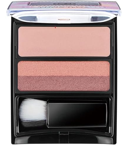 Amazon.co.jp: ソフィーナ オーブ ブラシひと塗りシャドウN 14ブラウン