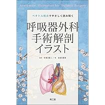 ベクトル視点でやさしく読み解く呼吸器外科手術解剖イラスト | 安部