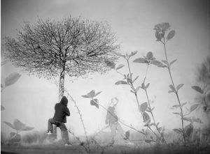 a Gathering / Sound of Summer Running by Raymond Meeks - photo-eye