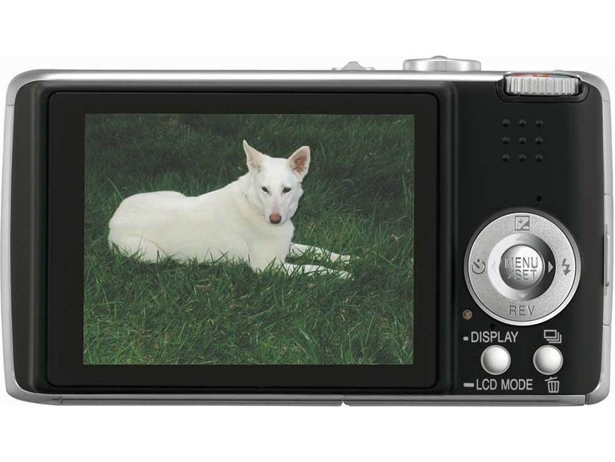 Panasonic Lumix® DMC-FX01 (Black) 6-megapixel digital camera