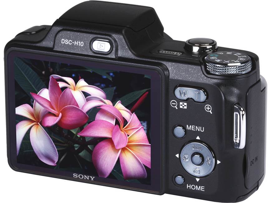 Sony DSC-H10 8.1-megapixel digital camera with 10X optical zoom at