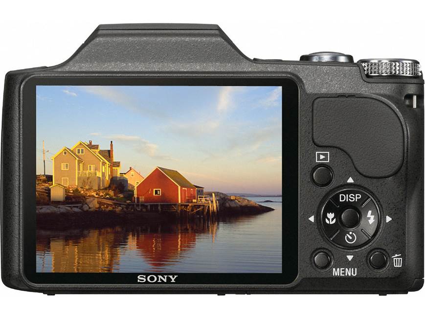 Sony Cyber-shot® DSC-H20 10.1-megapixel digital camera with 10X