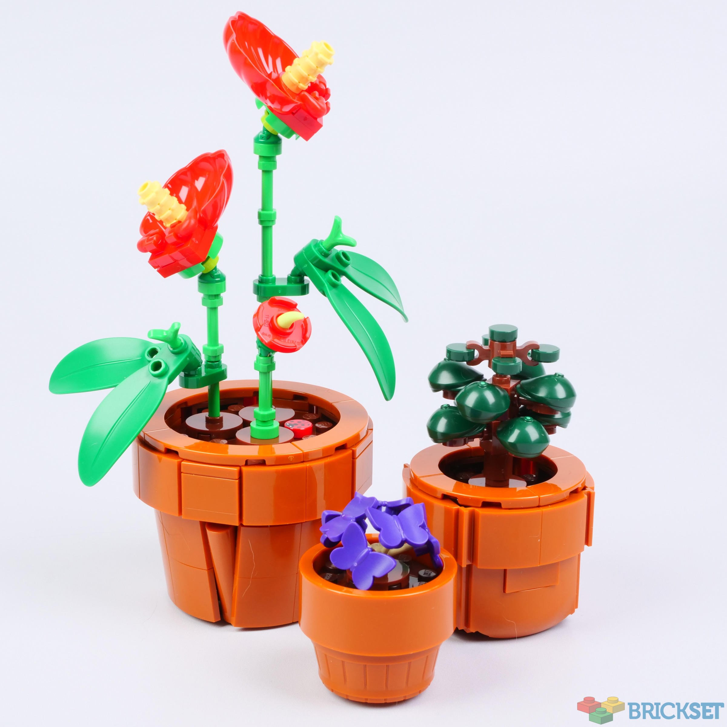 LEGO Icons 10329 Tiny Plants review | Brickset