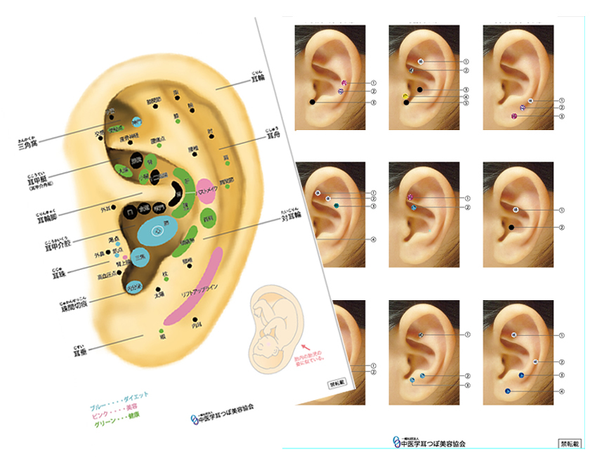 耳ツボストーンセラピスト講座【耳ツボジュエリーでオシャレをしながら