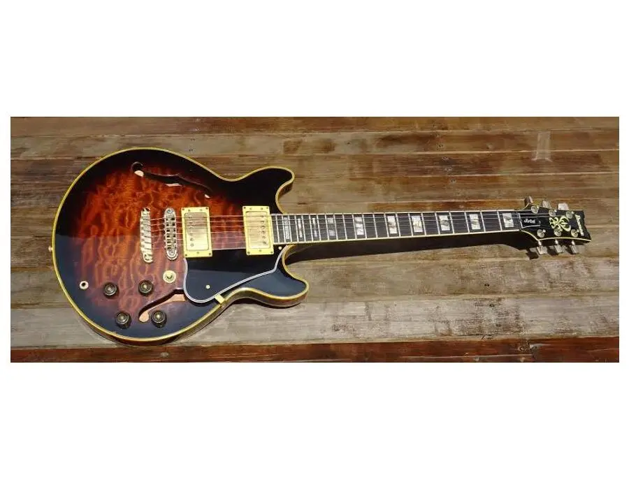 Ibanez AM205 Electric Guitar - What To Know & Where To Buy