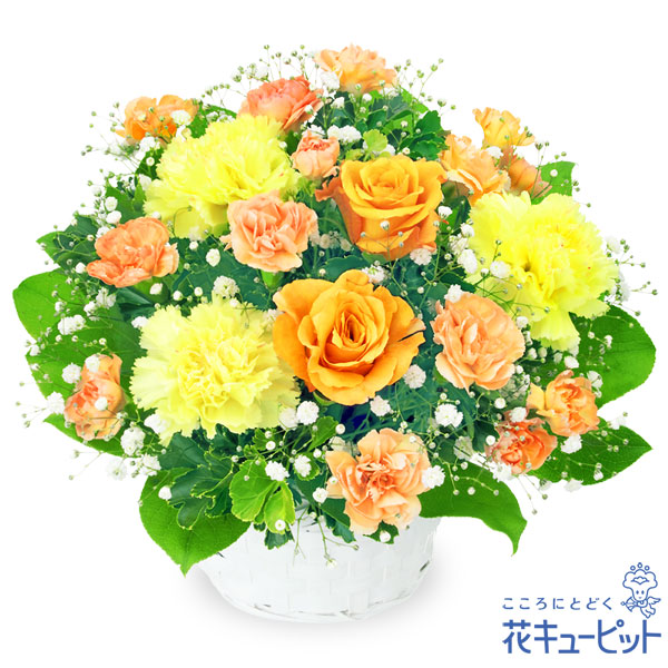 オレンジバラのアレンジメント - 開店祝い・開業祝い｜｜花や花束の