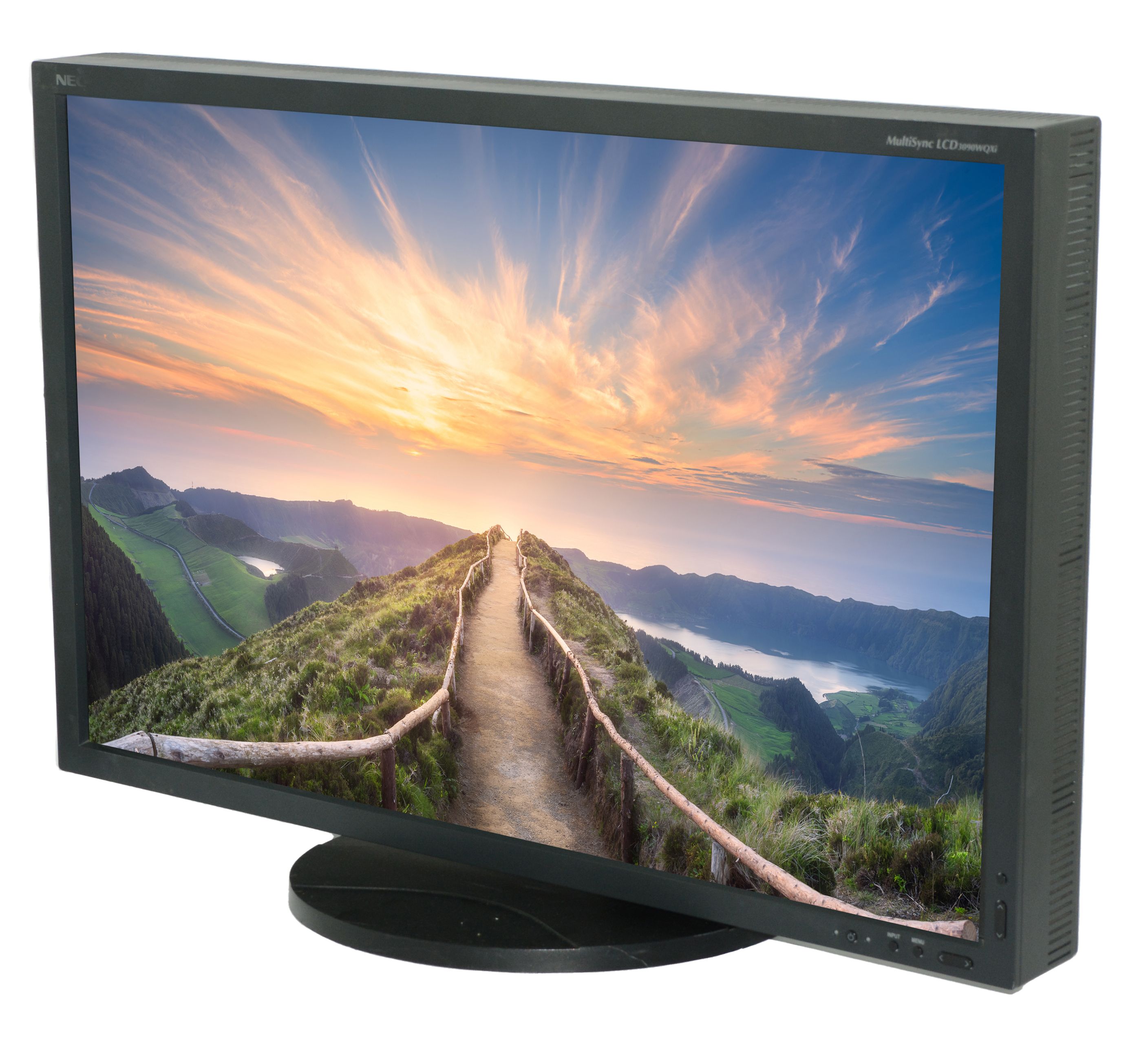 NEC MultiSync 3090WQXi 30