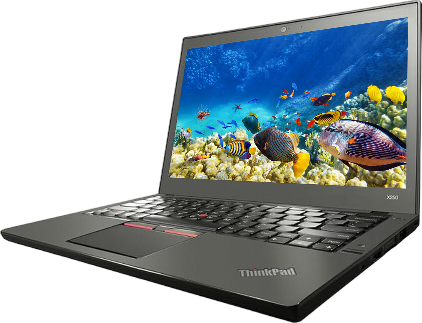 Lenovo ThinkPad X250 12.5