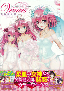 To LOVEる -とらぶる- ダークネス 画集 Venus（書籍）[集英社]【送料