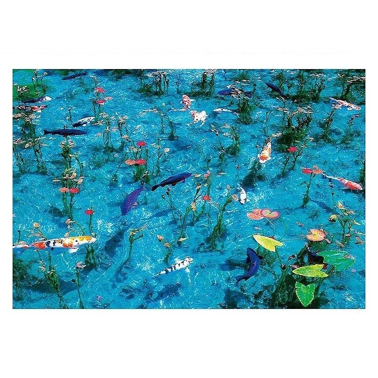 未開封 ジグソーパズル 1000ピース モネの庭 廃盤 プレミア フィルム