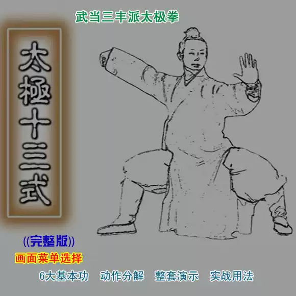 武當太極拳13式教學三豐太極十三式動作分解DVD教程人民郵電出版社