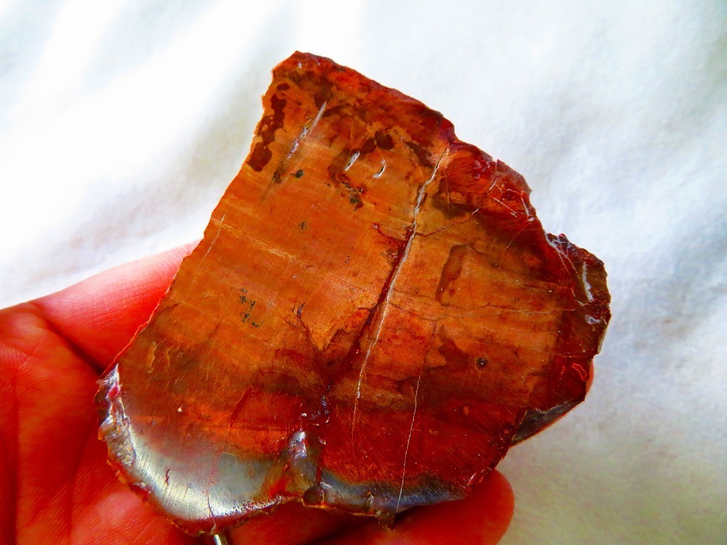 珪化木 木化石 鑑賞石 天然石 水晶 色石 赤石 赤玉石 アリゾナ珪化木