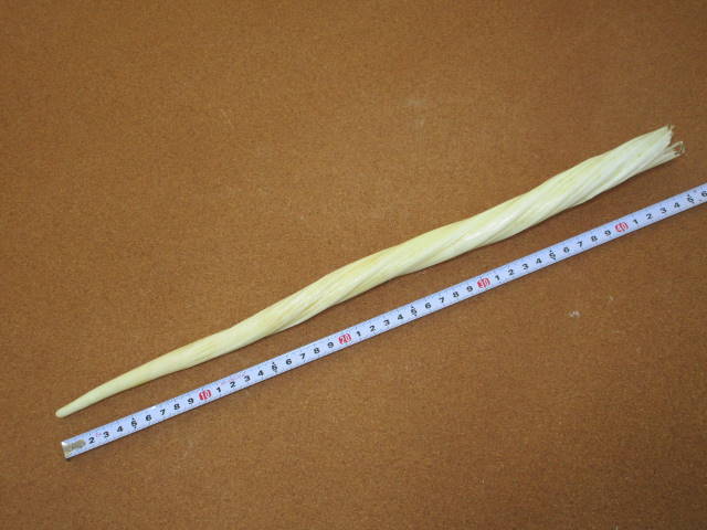 ウニコール 一角 鯨牙 鯨歯 新品 送料無料 ウニコール一角鯨牙送料無料