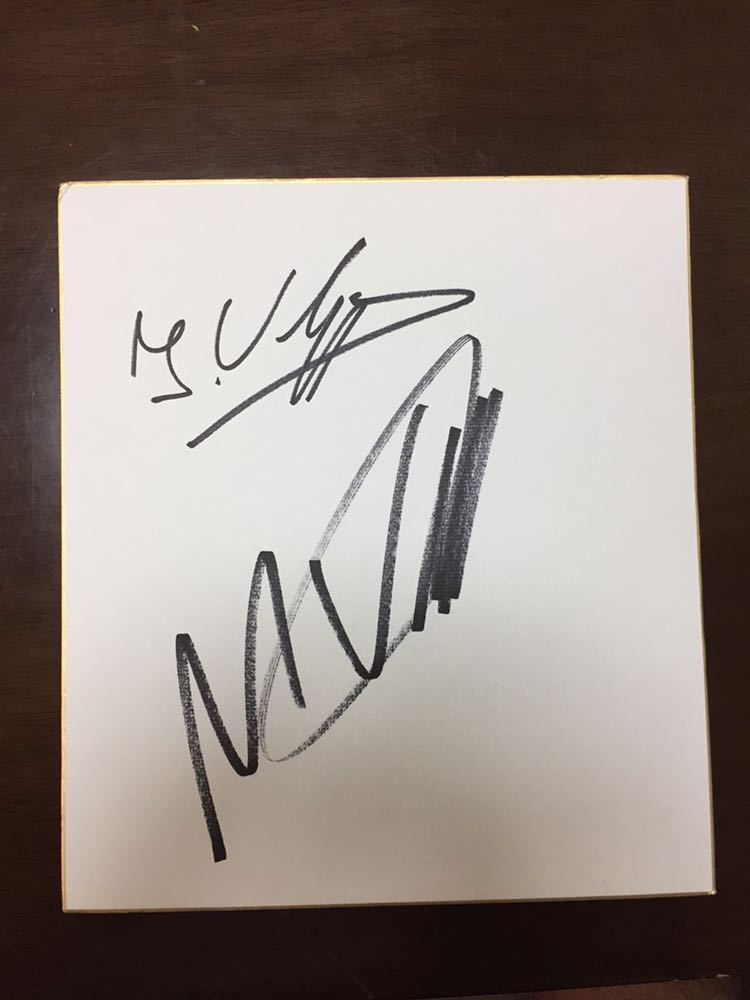 マックス・フェルスタッペン サイン入り写真 33 マックス