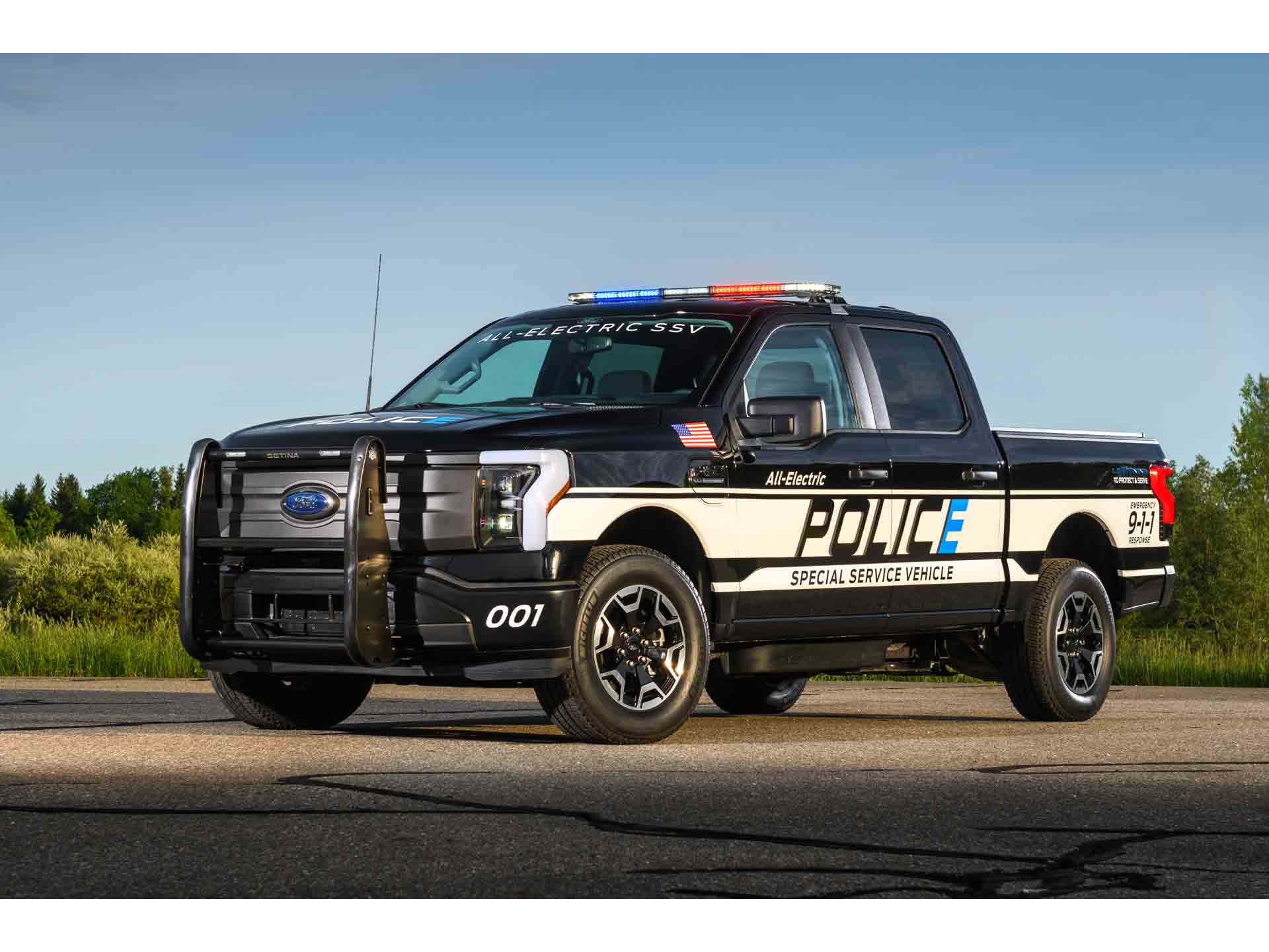 フォード F－150 フレアサイド 4WD 1ナンバー車両の中古車