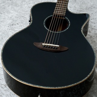 アコースティックギター／エレクトリック・アコースティックギター