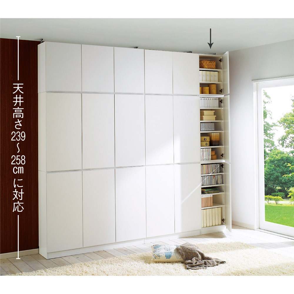 1cmピッチ薄型壁面書棚 奥行29.5cm 幅42cm 上置き高さ55cm 扉 通販