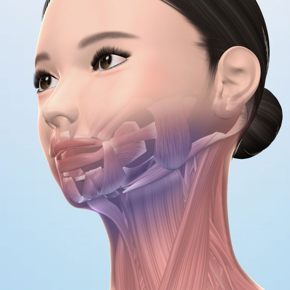 dショッピング |スタイリーフェイス 美顔器 EMS あご フェイスライン