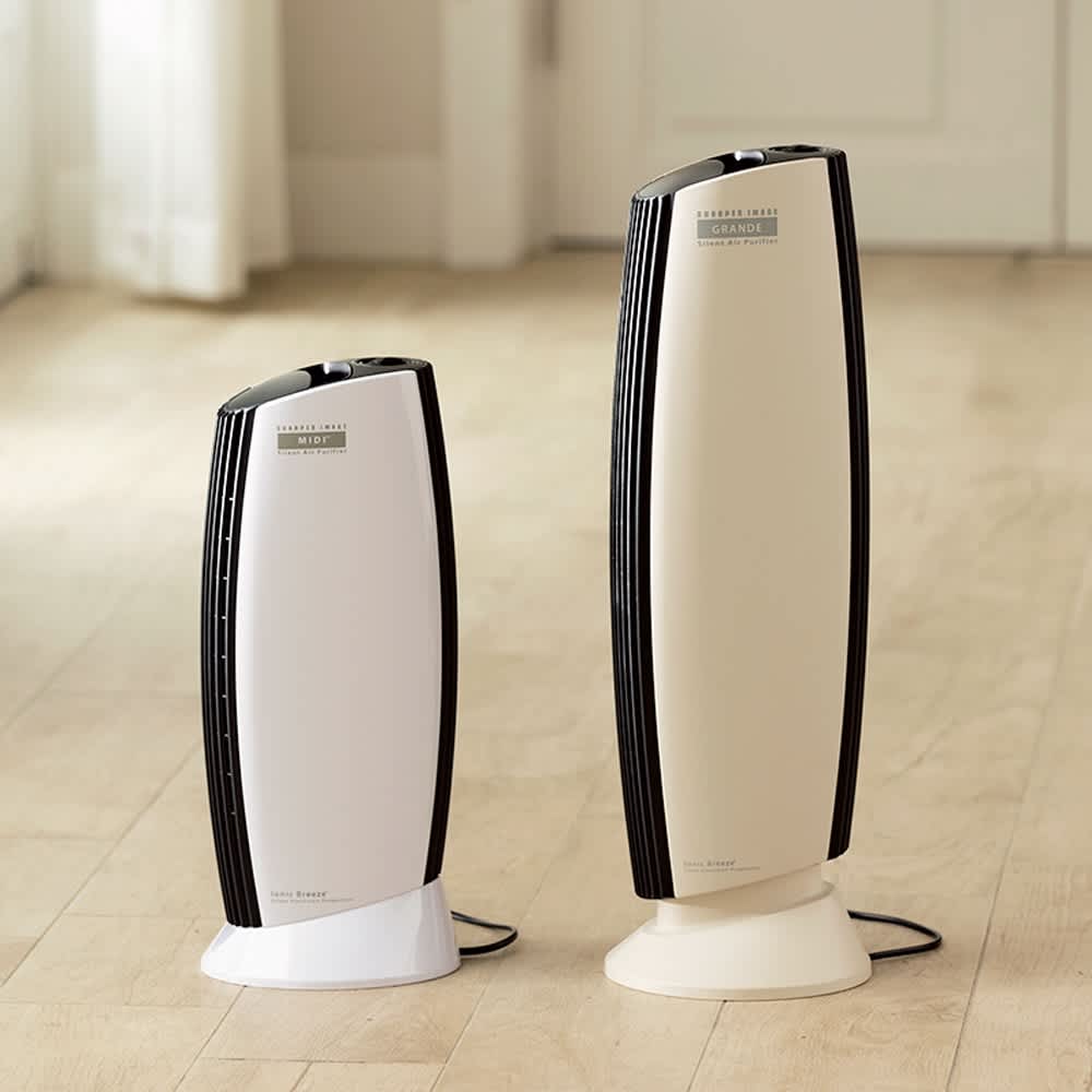 イオニックブリーズ GRANDE 通販 - ディノス