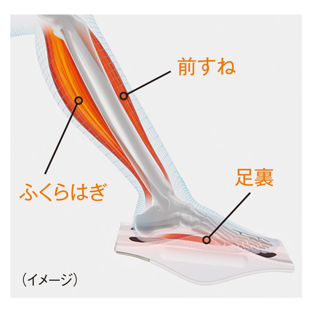 SIXPAD/シックスパッド Foot Fit3 （フットフィット3） 通販 - ディノス