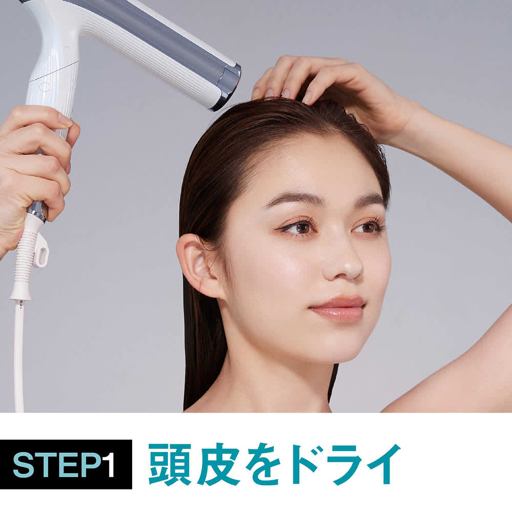 ReFa/リファビューテック ドライヤースマート ダブル 通販 - ディノス