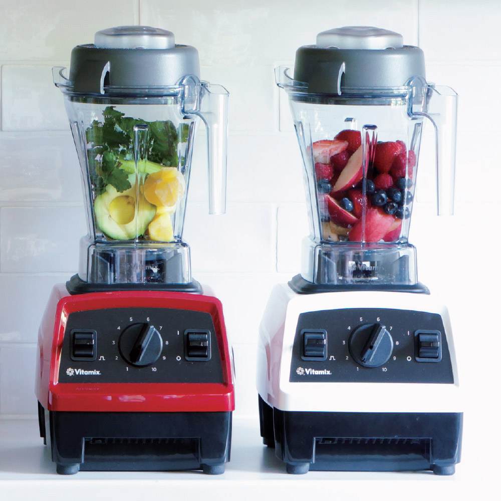 バイタミックス E310 メーカー保証5年付き （本体1.4Lウェットコンテナ