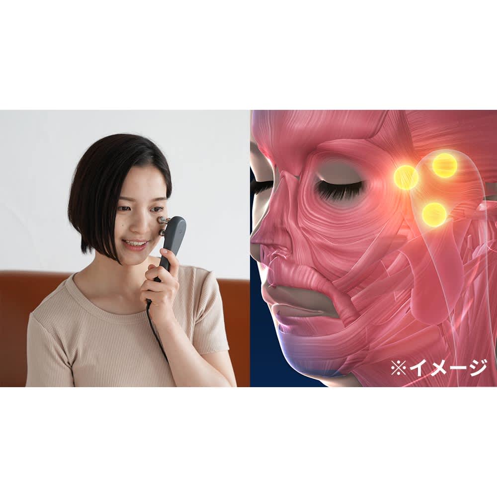 シェイプビート プレミアム 通販 - ディノス