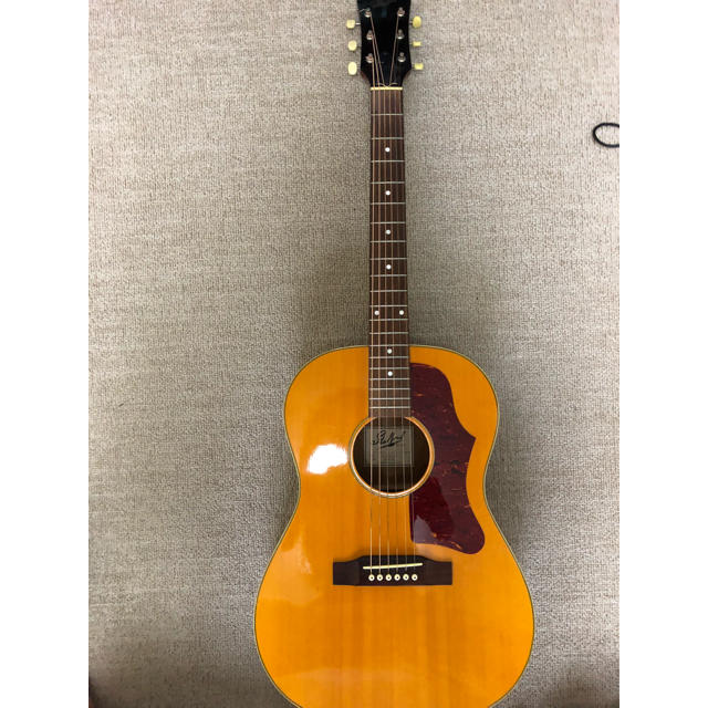とっちゃん様専用 Stafford SLG360E アコースティックギターの通販はau