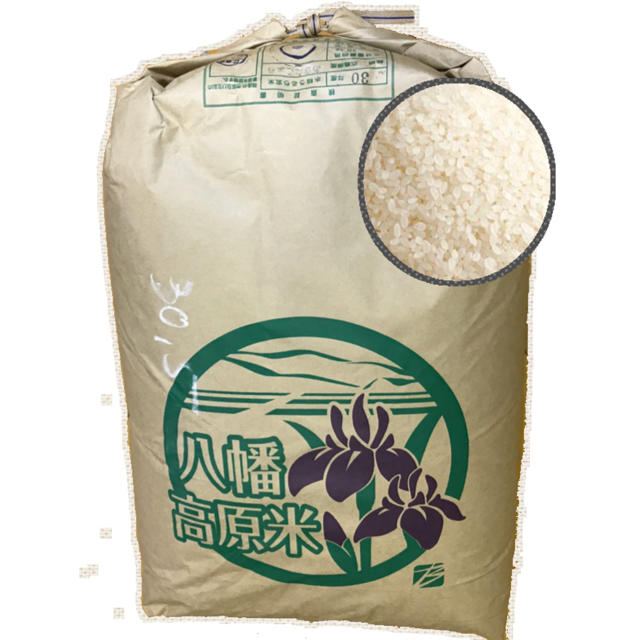 蝶標本 北海道産ミヤマカラスシジミ・オオイチモンジ♀ 野濱実秀斎