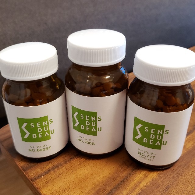 エルセーヌサプリメントNO.700S NO.600ST セット エルセーヌサプリ3