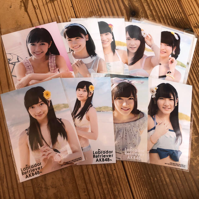 AKB48 - AKB ラブラドールレトリバー 生写真の通販 by ぶどう