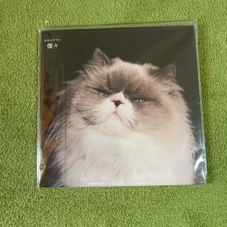 カネコアヤノ レコードのフリマアイテム一覧