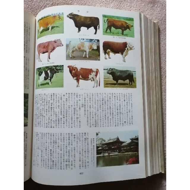 小学館 世界原色百科事典 全1〜8巻の通販 by のりのり's shop｜ラクマ