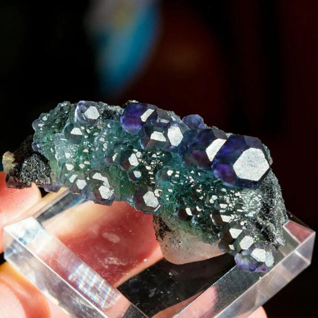 福建省 フローライト CF-169 天然石 原石 鉱物 標本 鉱石 蛍石の通販