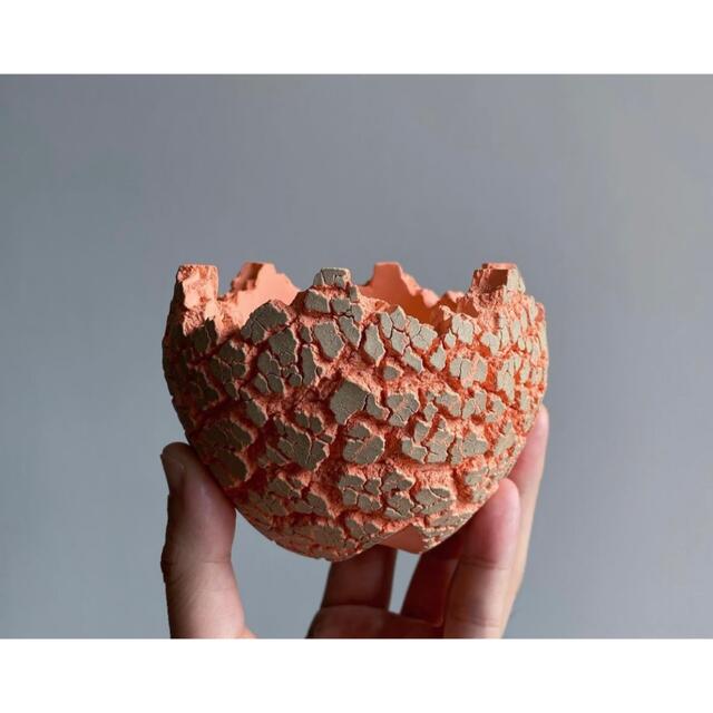 Konect FANG mmj oo2 村上淳 Sサイズ 鉢 コネクト 新品