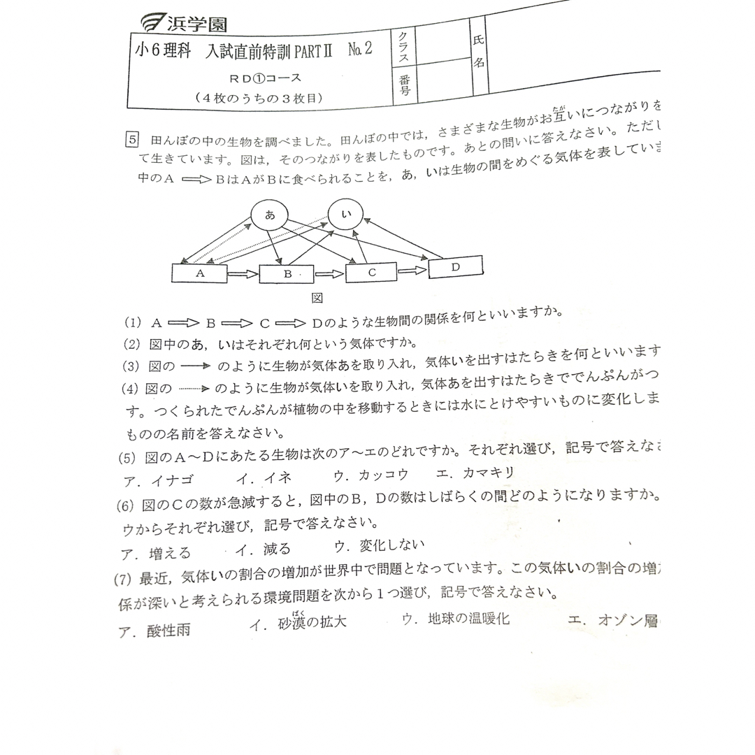 浜学園 小6 入試直前特訓 PART2 国語、算数、理科 復習テストの通販 by