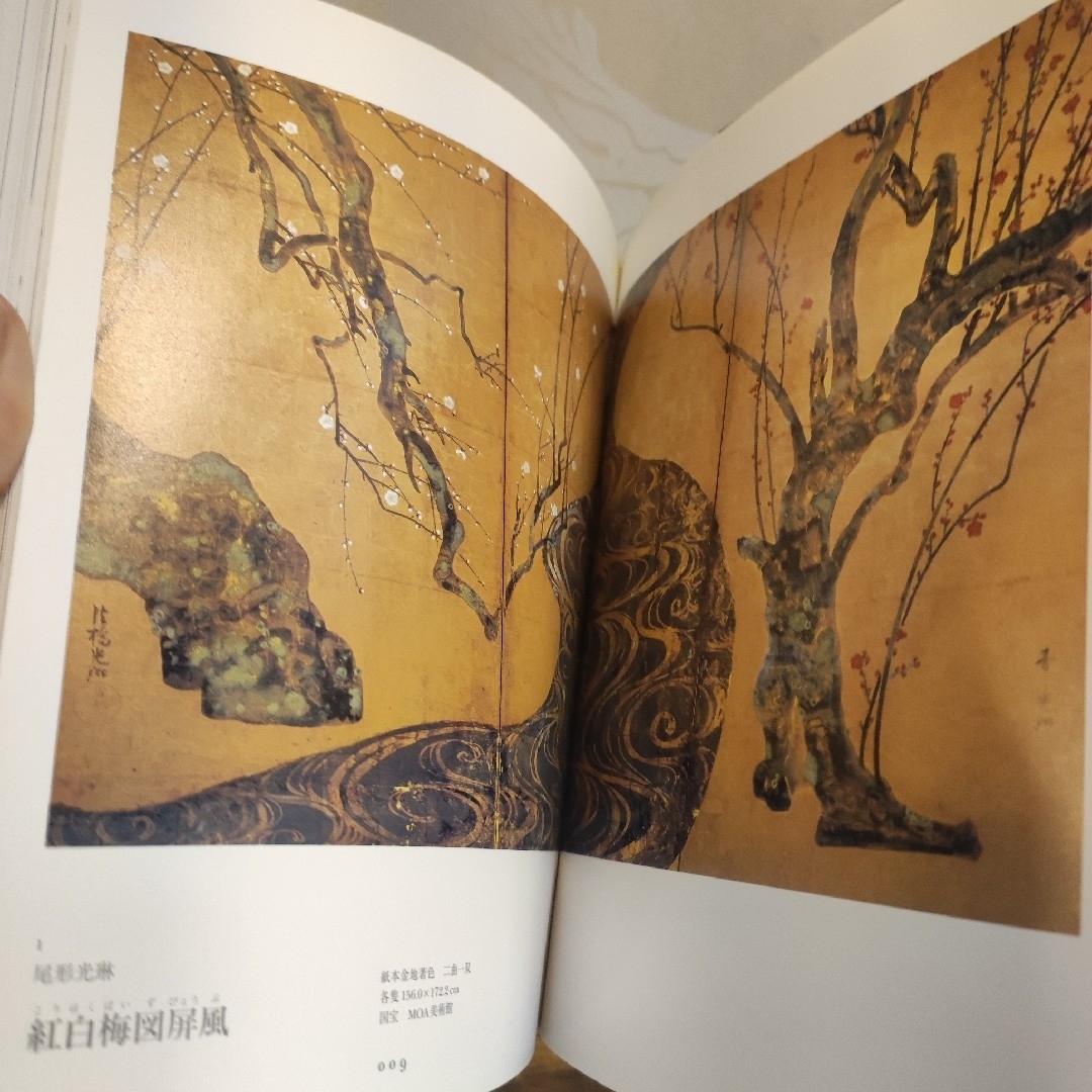 光琳デザイン 琳派 画集 図鑑 絵画様式 意匠図案 アートの通販 by