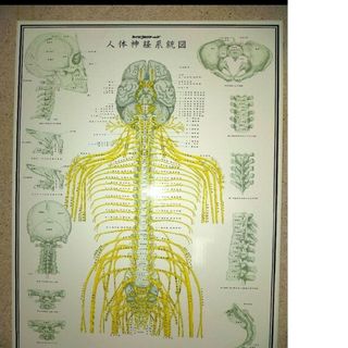 2177262803.jpg?1707833123