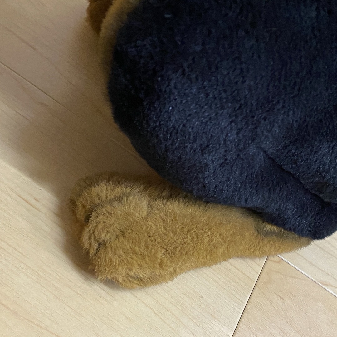 ジョックライン イタリア製 特大 ドーベルマン 座り ビッグサイズ no