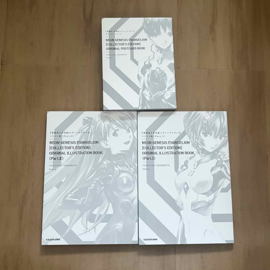 愛蔵版 新世紀エヴァンゲリオン 特典 ポストカード イラスト集の通販
