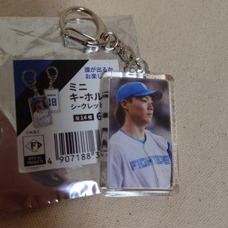 北海道日本ハムファイターズ - 大谷翔平サイン色紙 ファイターズ時代1