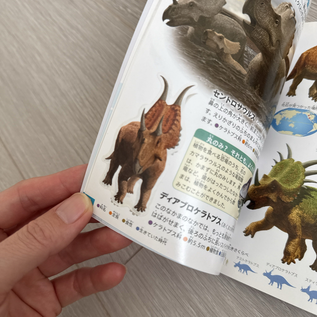 マクドナルド - 絵本 図鑑 12冊 ハッピーセットの通販 by Revontulet