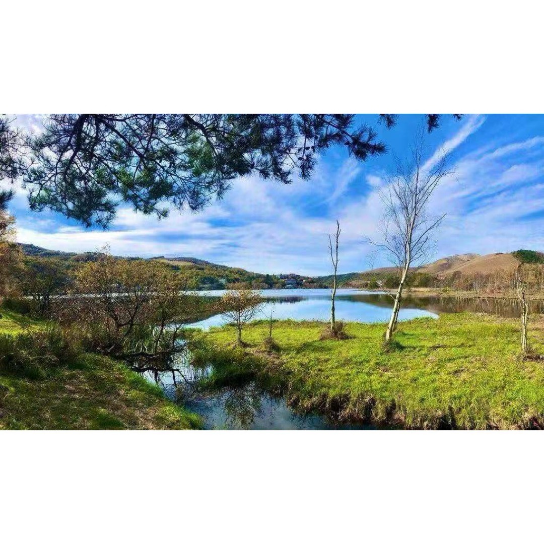 メナードTKローション3点セット